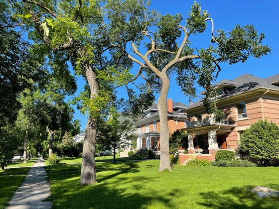 Beautiful shot of sidewalk in Crescentwood